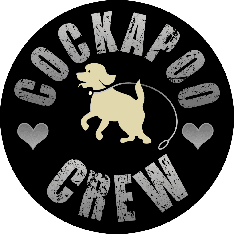 The Cockapoo Crew