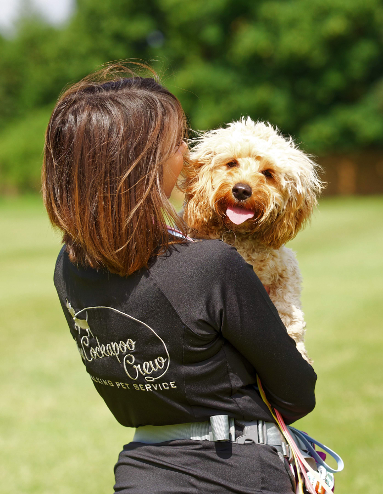 Cockappo Crew dog walker Heaton Moor, Heaton Chapel, Heaton Mersey, Heaton Norris, Didsbury, Stockport, Greater Manchester, Cheshire Cockappo Crew dog walker Heaton Moor, Heaton Chapel, Heaton Mersey, Heaton Norris, Didsbury, Stockport, Greater Manchester, Cheshire