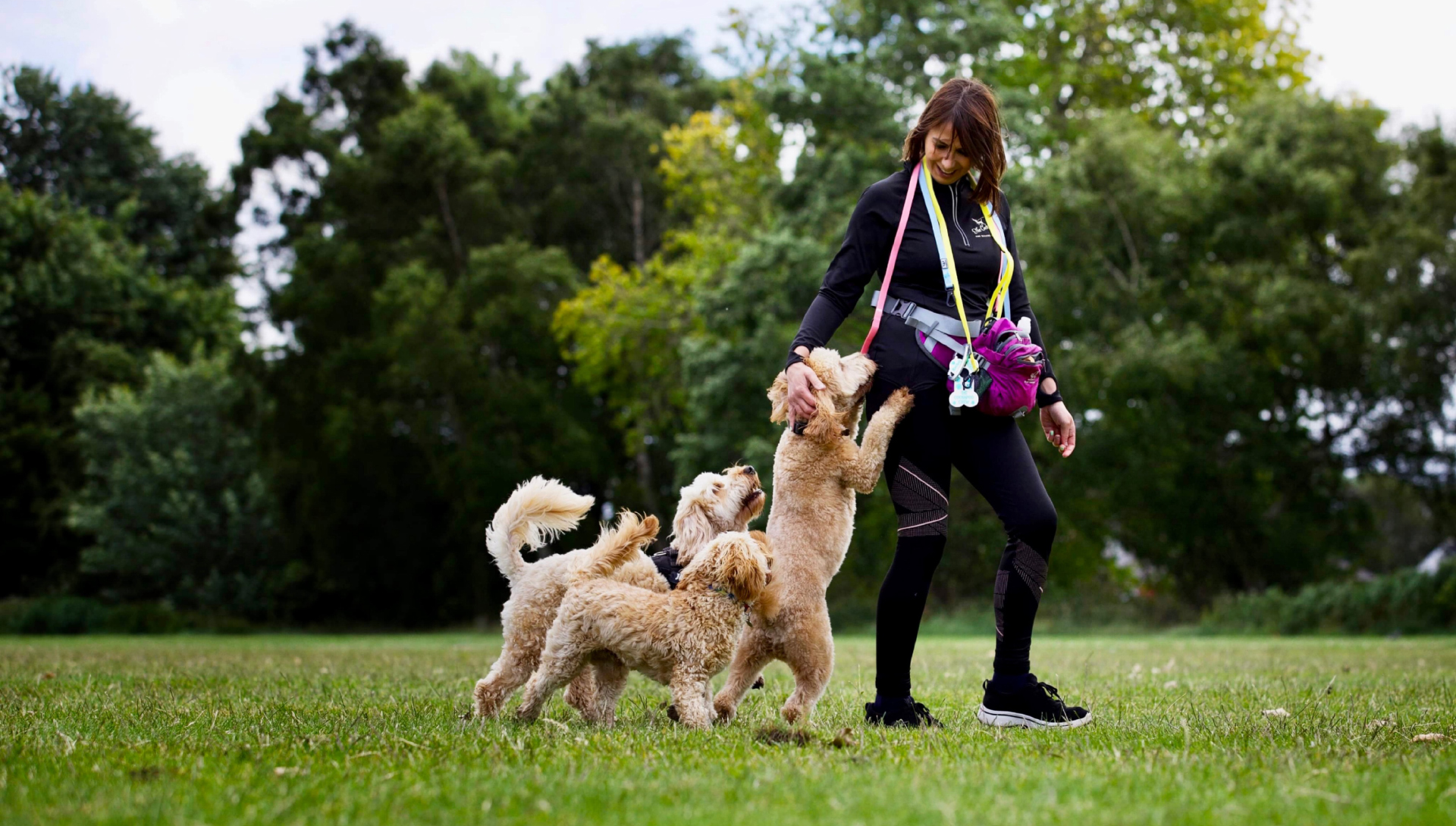 local dog walker Heaton Moor, Heaton Chapel, Heaton Mersey, Heaton Norris, Didsbury, Stockport, Greater Manchester, Cheshire local dog walker Heaton Moor, Heaton Chapel, Heaton Mersey, Heaton Norris, Didsbury, Stockport, Greater Manchester, Cheshire