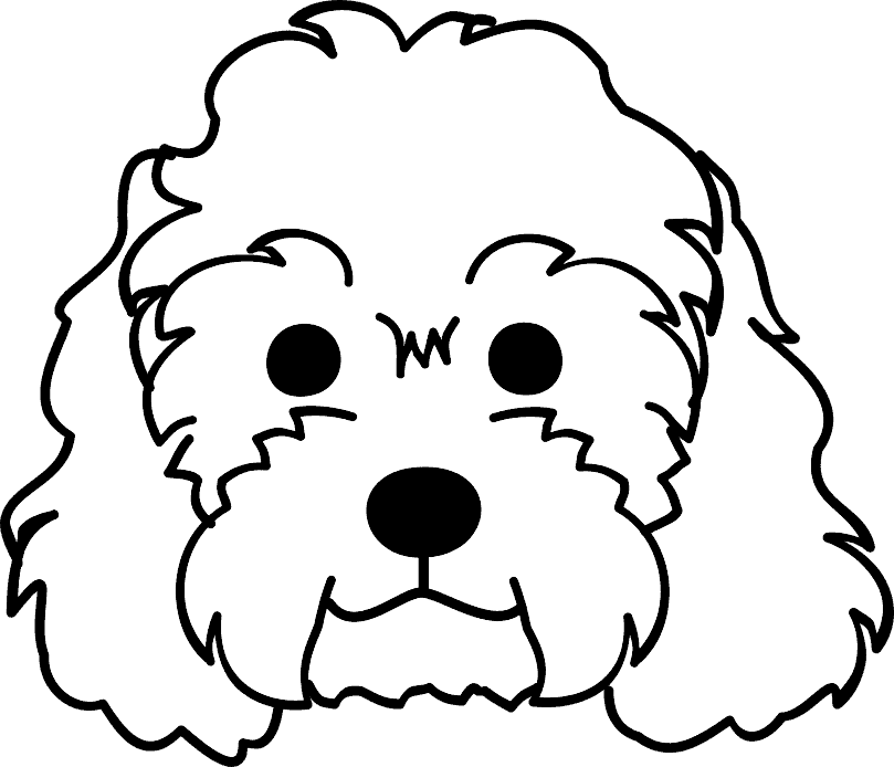 cockapoo