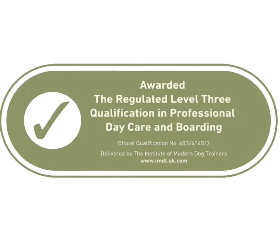 Level 3 award in daycare and boarding