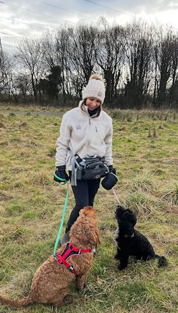 The Cockapoo Crew Dog Walking Franchise The Cockapoo Crew Dog Walking Franchise